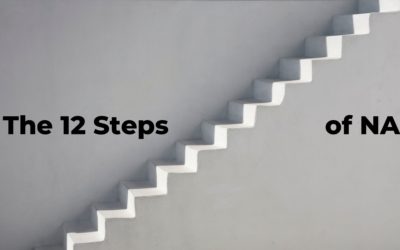 The 12 Steps of NA: A Guide To Seeking Help