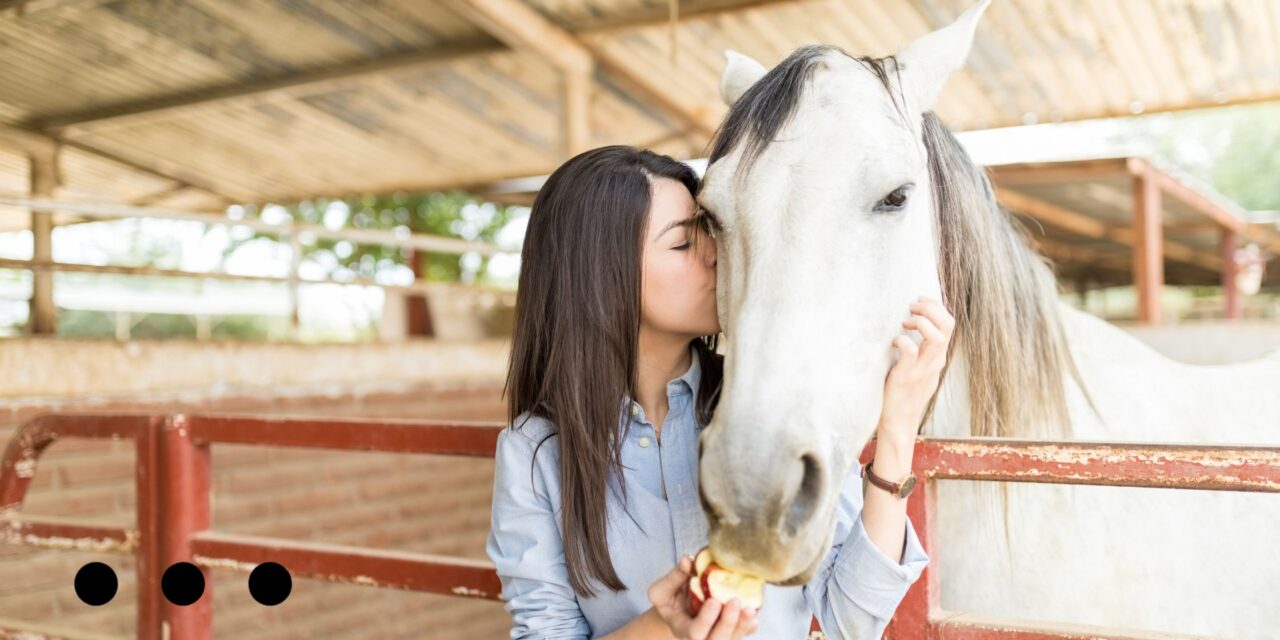 What Is Animal Therapy In Addiction Recovery Treatment Addiction 