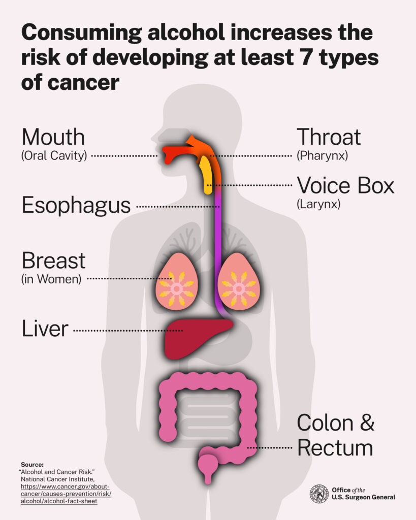 an image of a silhouette body showing how alcohol can increase the risk of cancer of at least 7 types of cancer. 